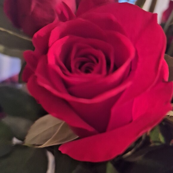 anita890